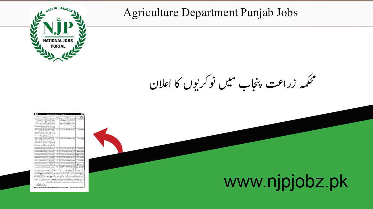 Agriculture Department Punjab Jobs