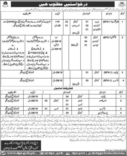  Anti corruption jobs 2024 balochistan advertisement 