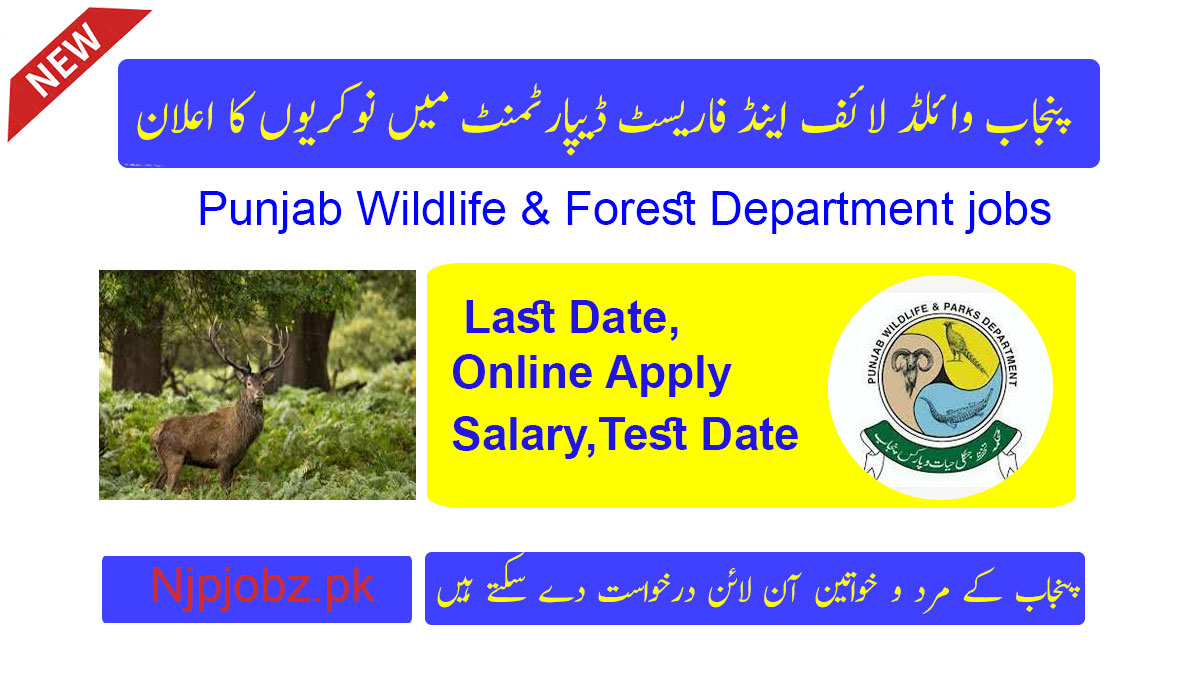 Punjab Wildlife and Parks Department Jobs